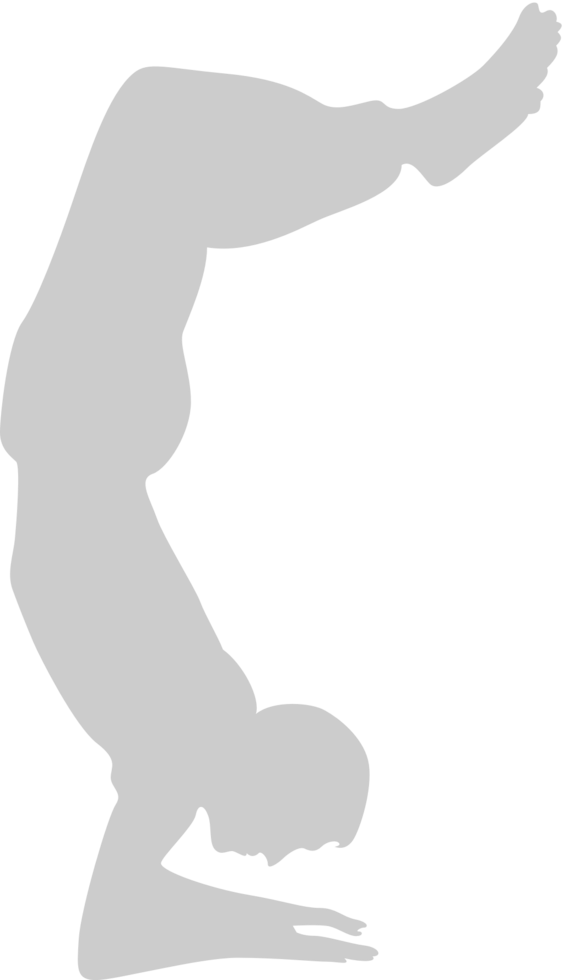 Yoga vector