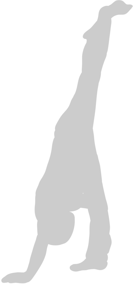 Yoga vector