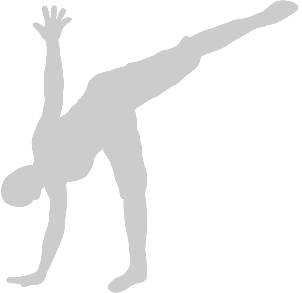 Yoga vector