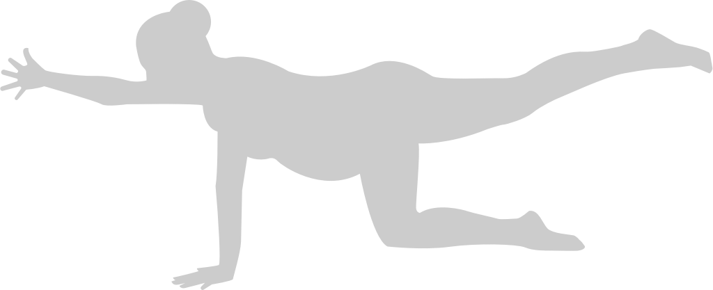 Yoga vector