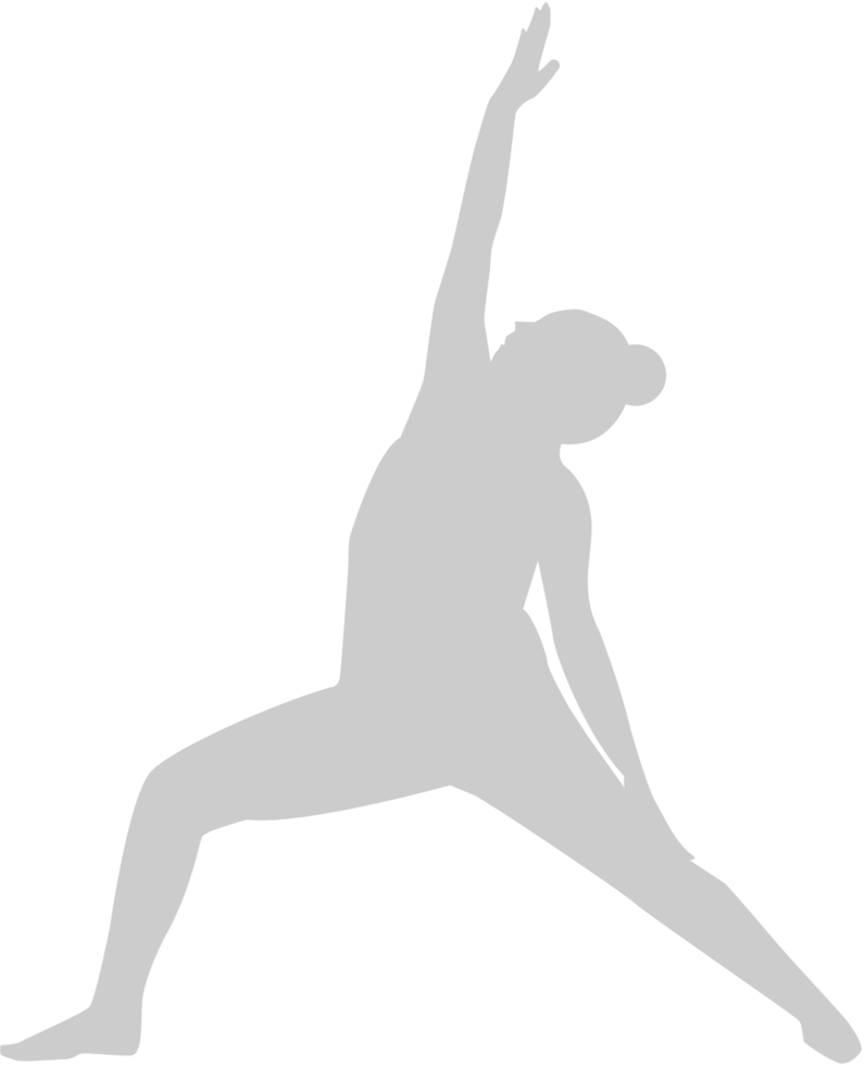 Yoga vector