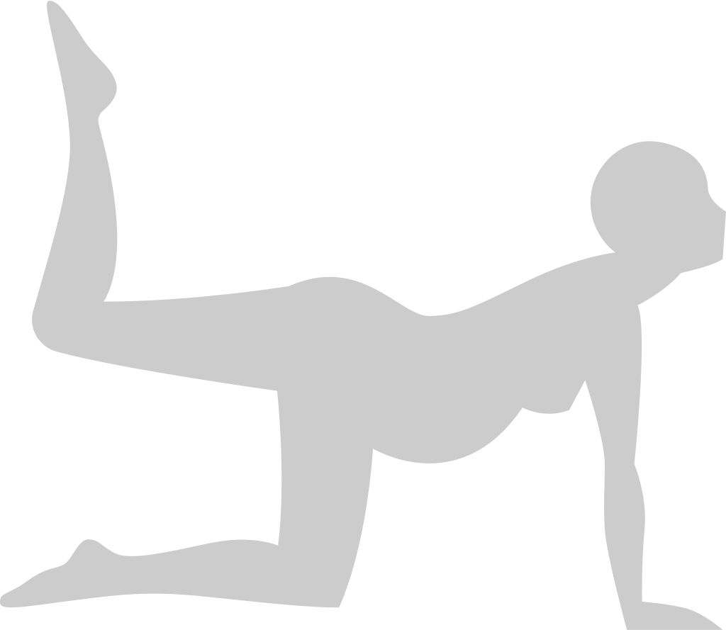 Yoga vector