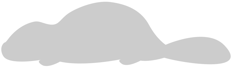 Beaver vector