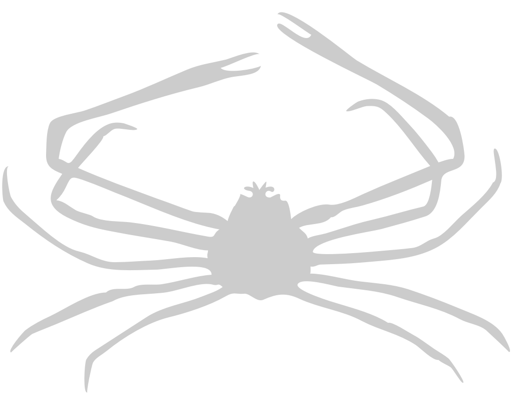 Crab vector