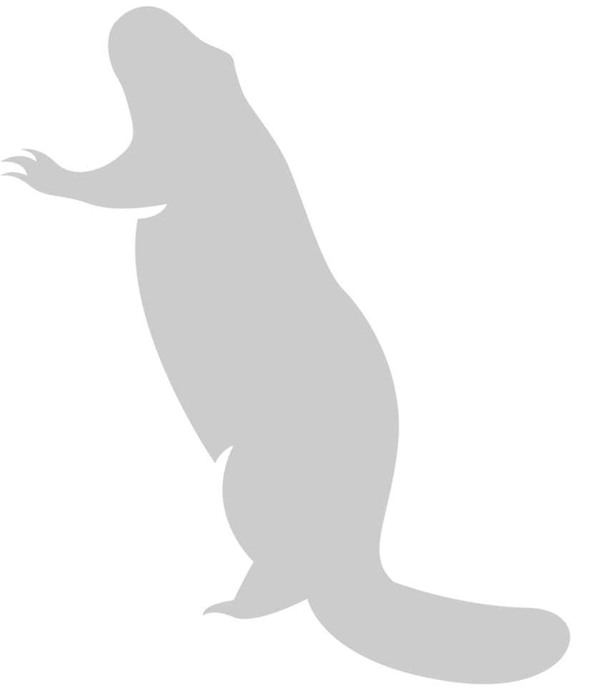 Beaver vector