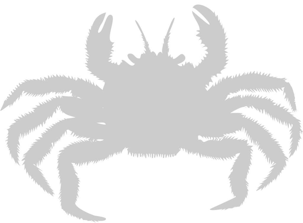 Crab vector