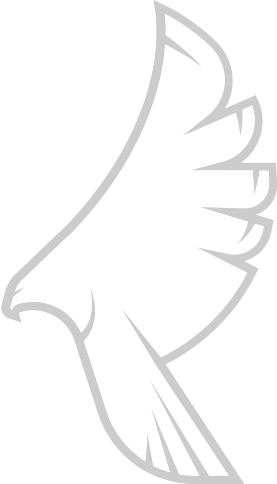 Hawk vector