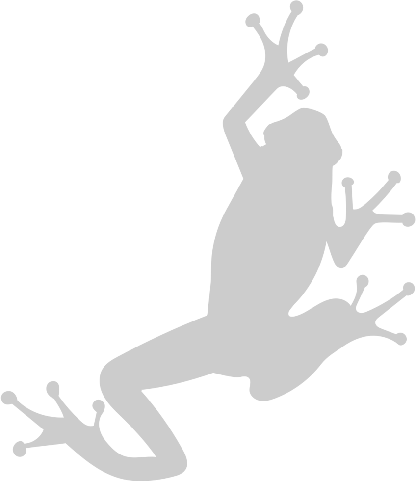 Frog vector