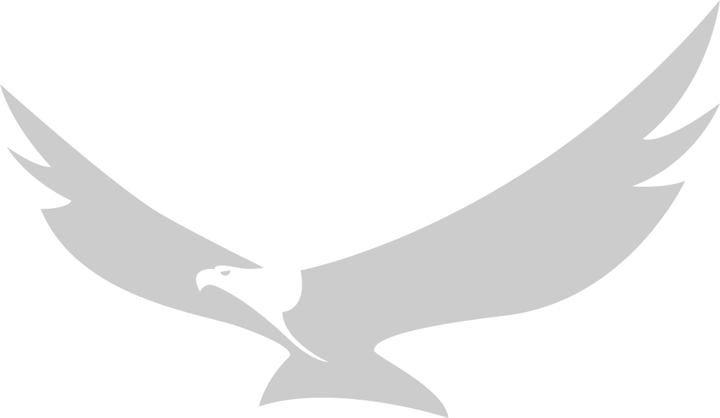 Bird vector