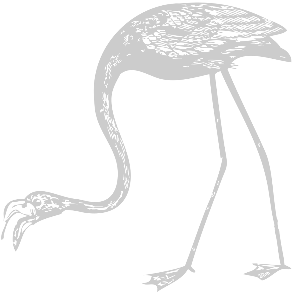 Flamingo vector