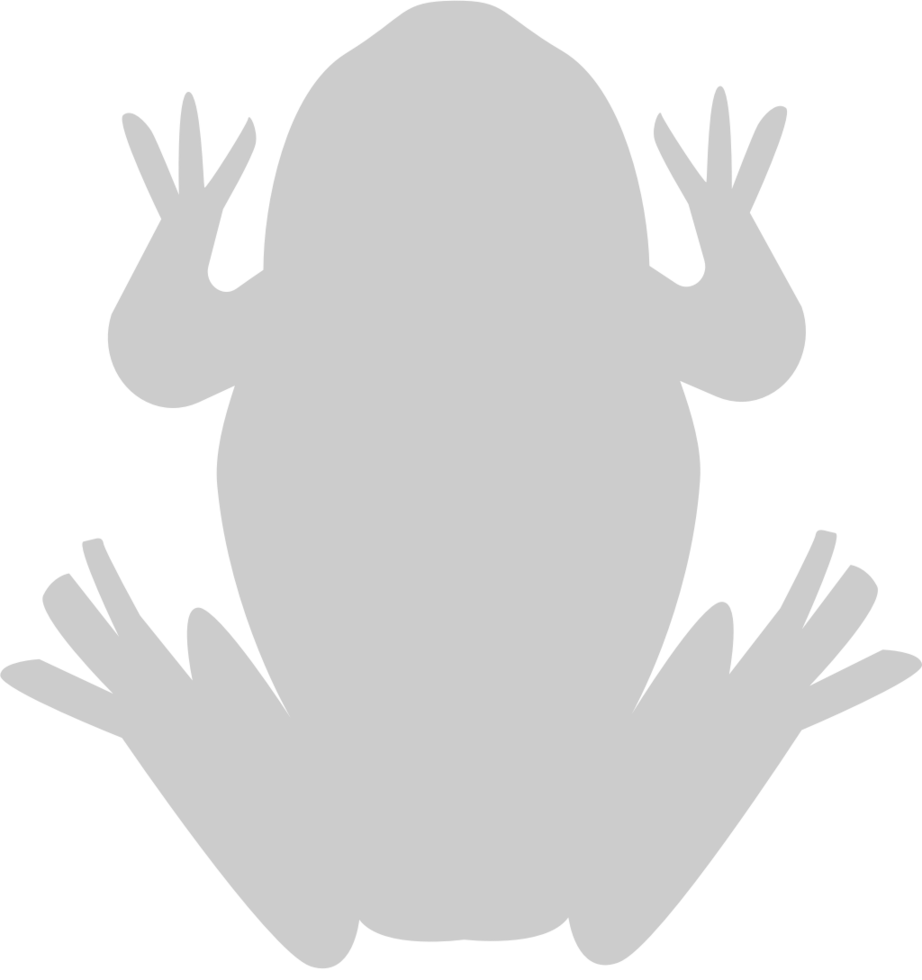 Frog vector