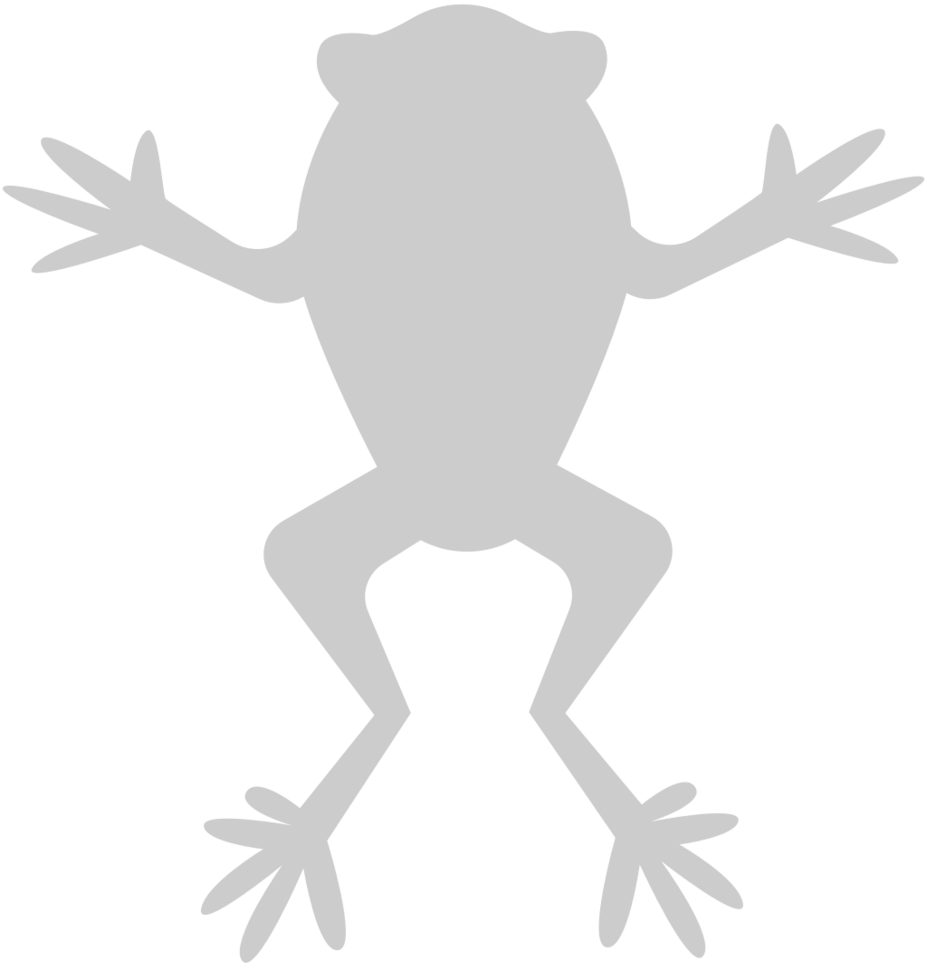 Frog vector