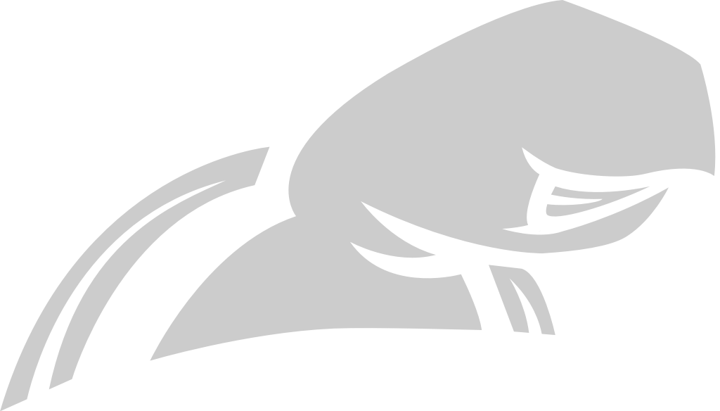 Turtle vector