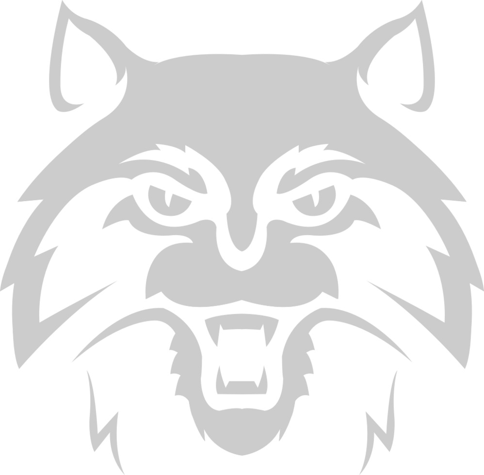Wildcat vector