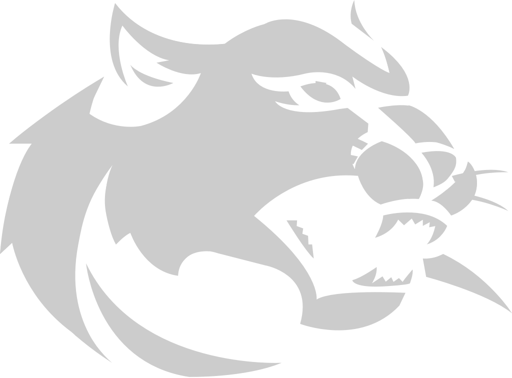 Wildcat vector