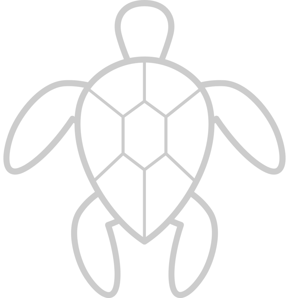 Turtle vector