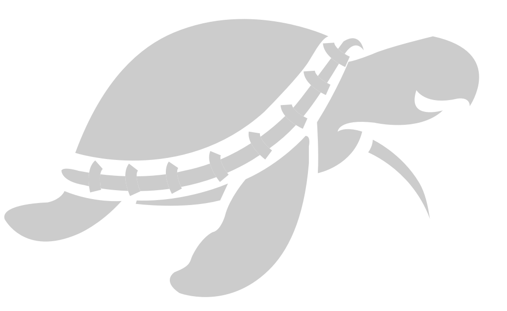 Turtle vector