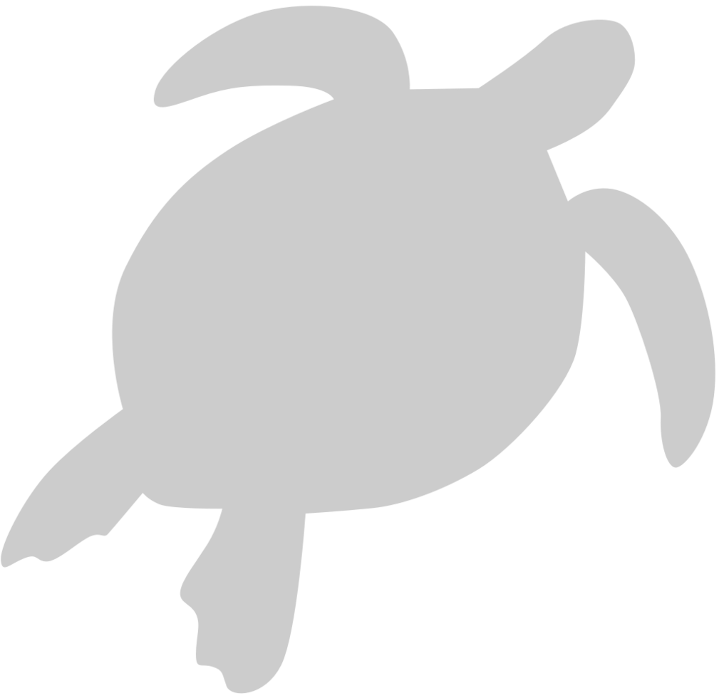 Turtle vector