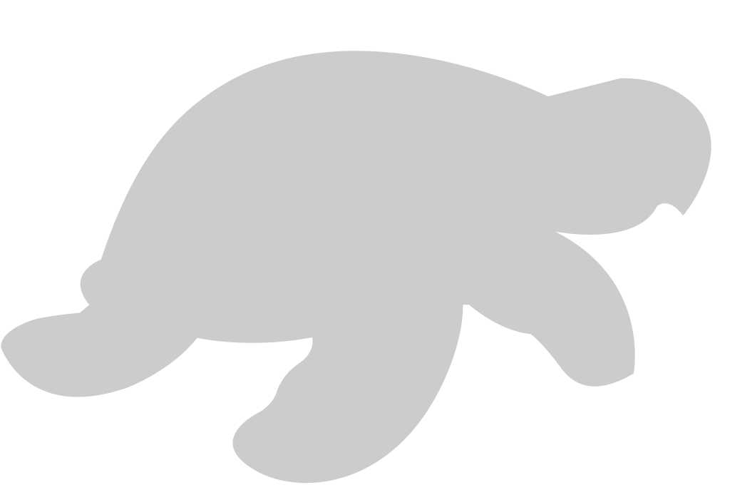 Turtle vector