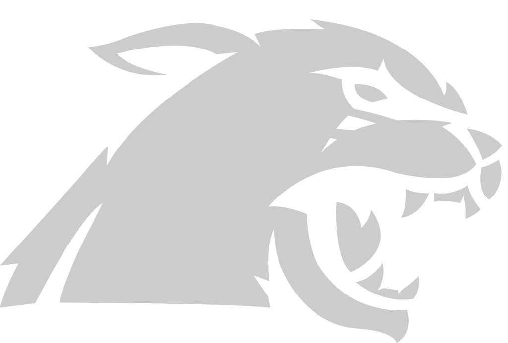 Wildcat vector
