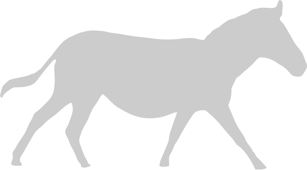 Zebra vector