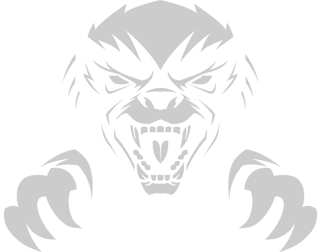 Badger vector