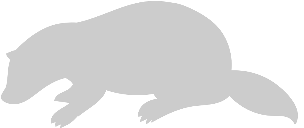 Badger vector