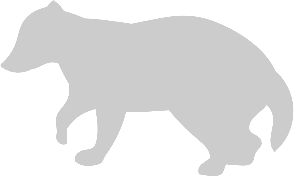 Badger vector