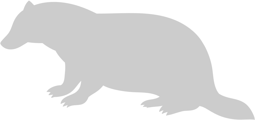 Badger vector