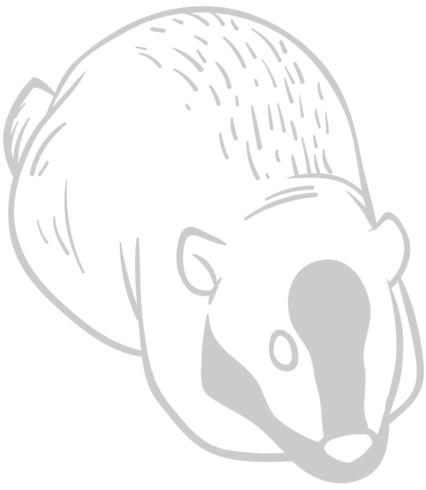 Badger vector