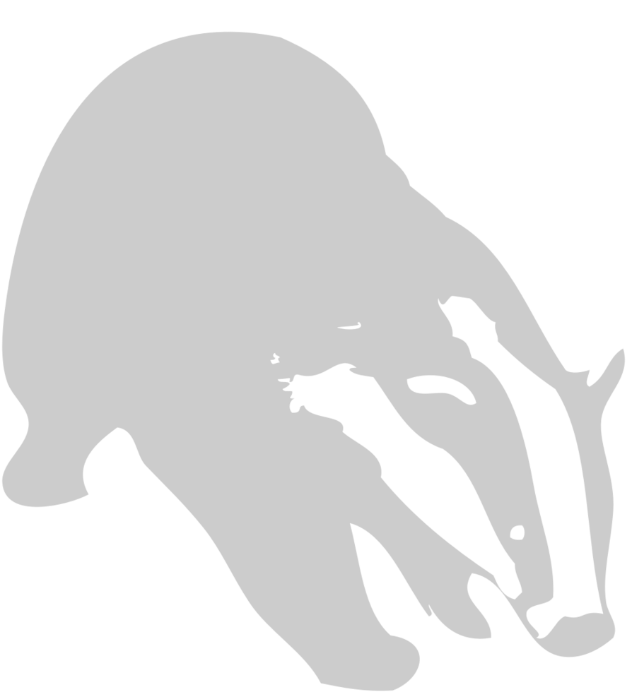 Badger vector