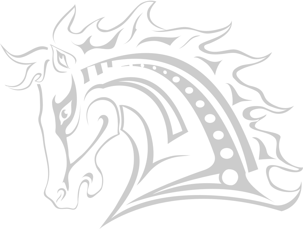 Bronco vector