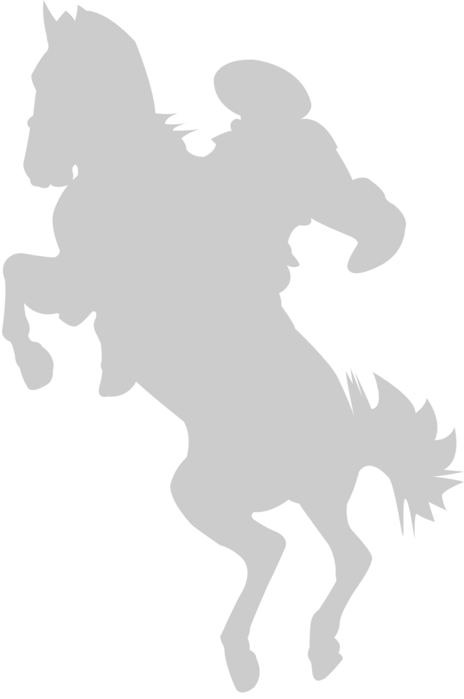 vaquero vector