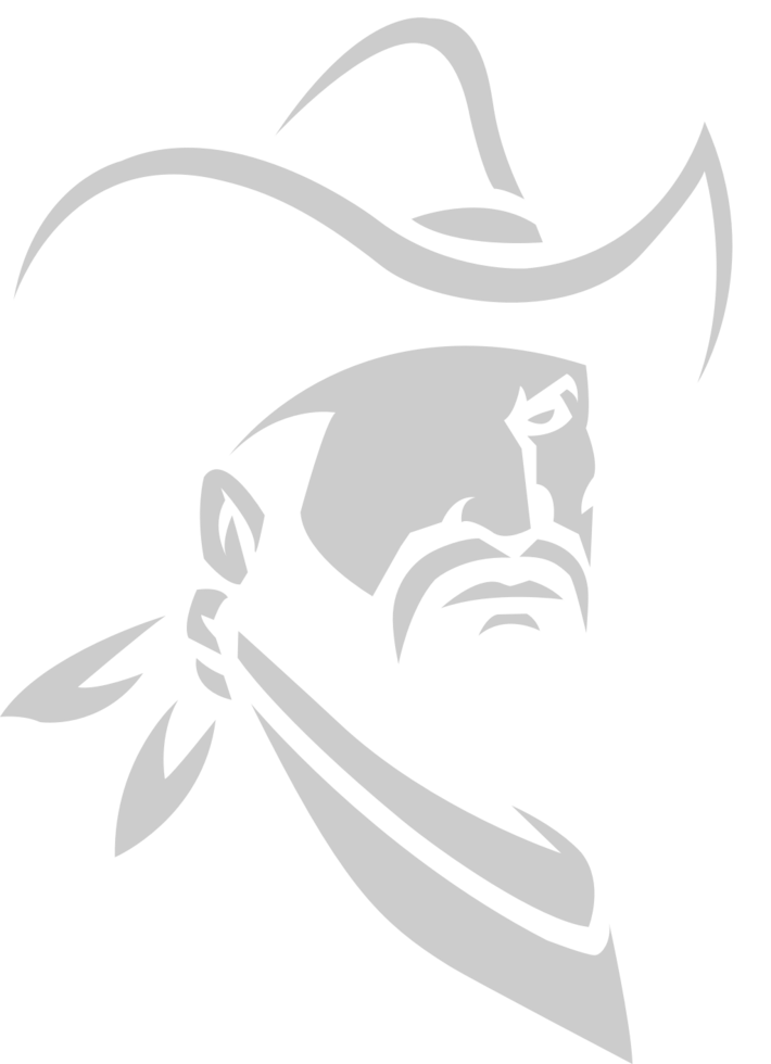 Cowboy vector