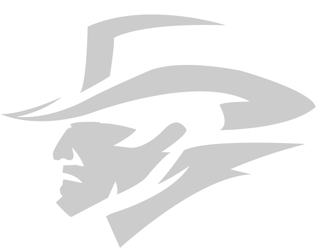 Cowboy vector