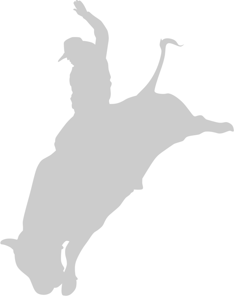 Cowboy vector