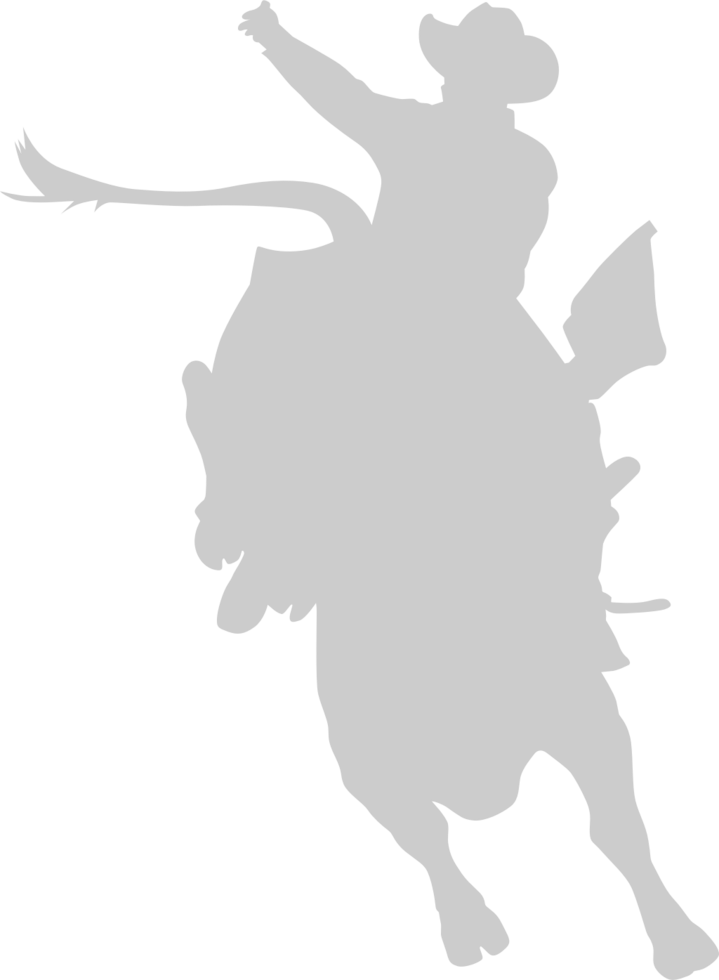 Cowboy vector