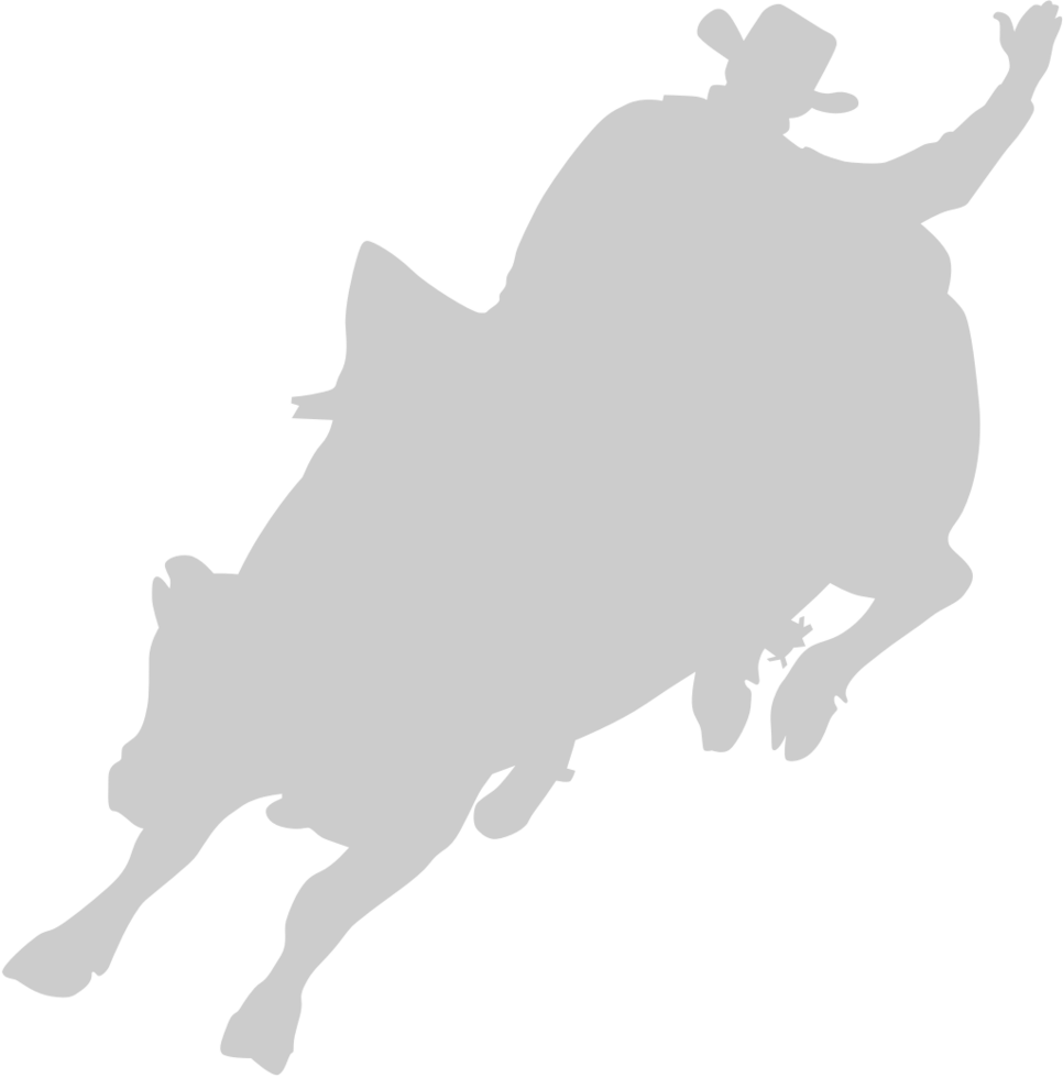 Cowboy vector