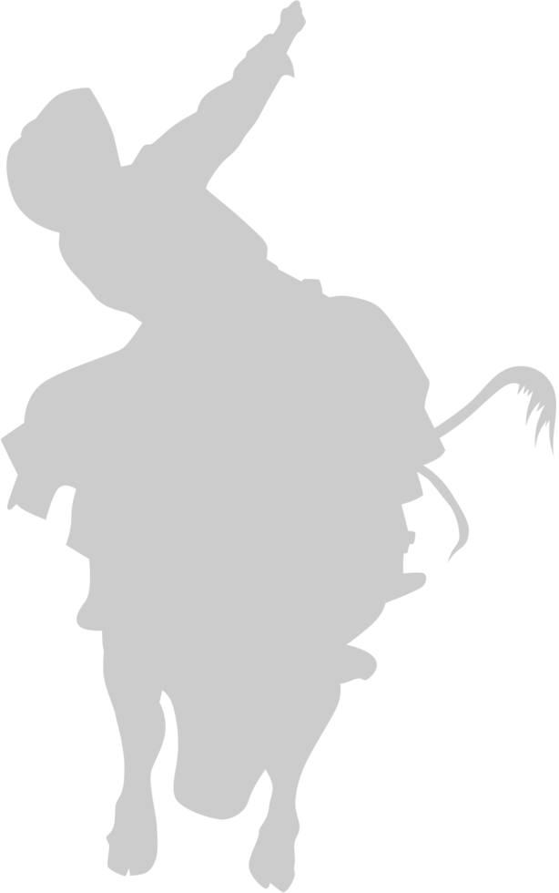 Cowboy vector