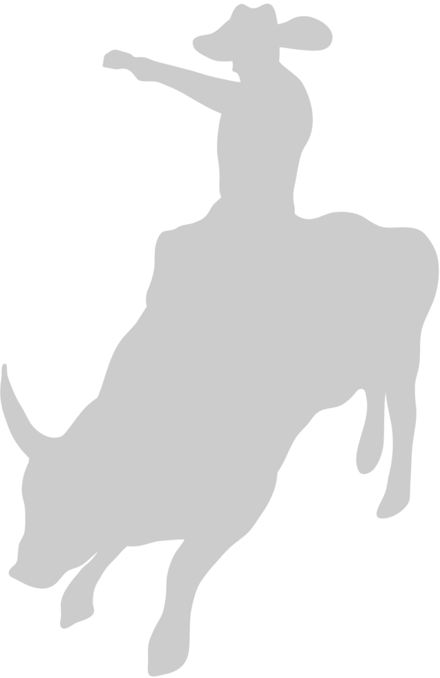 Cowboy vector
