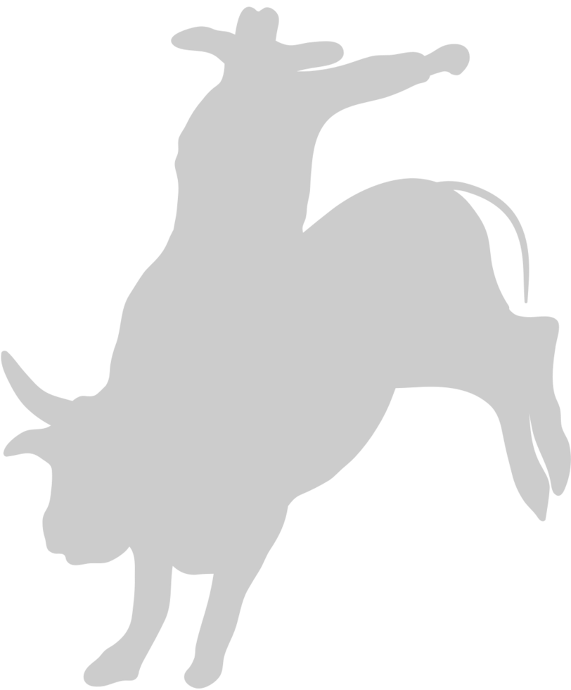 Cowboy vector