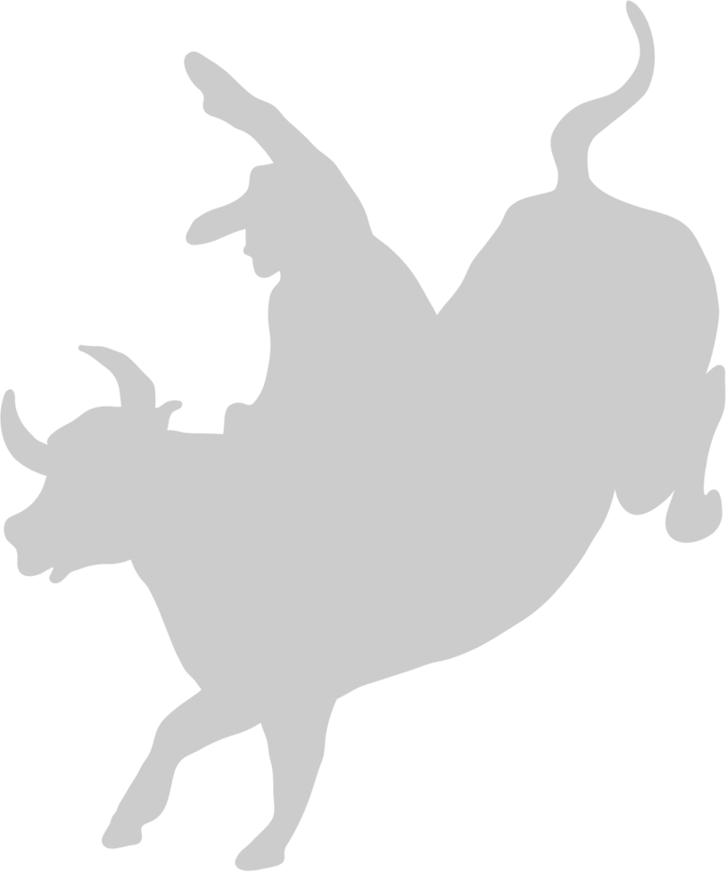 Cowboy vector