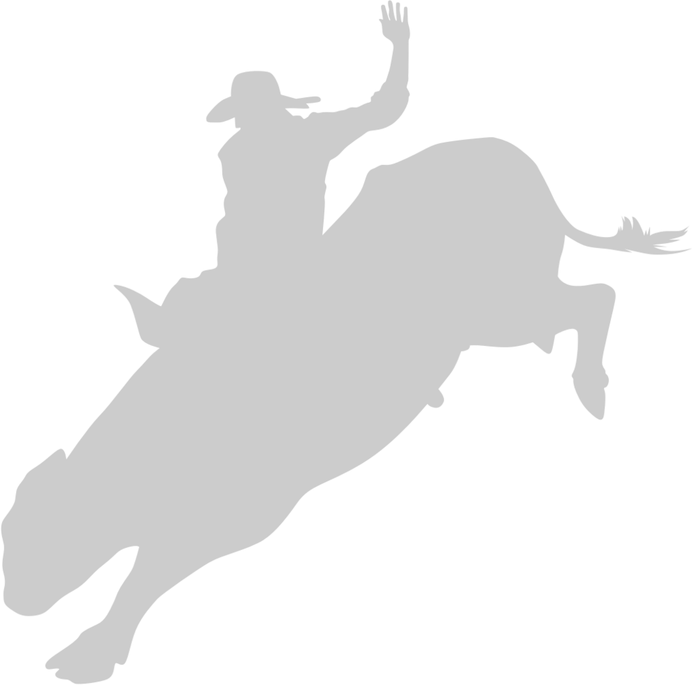 Cowboy vector