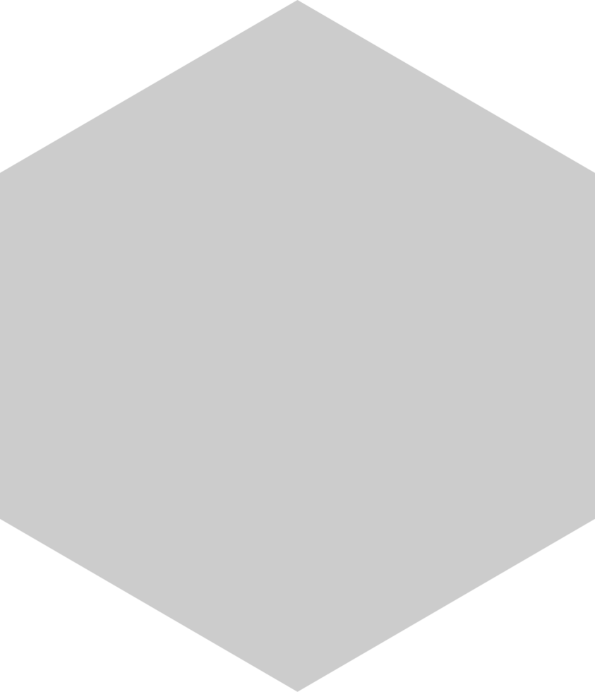 Hexagon vector