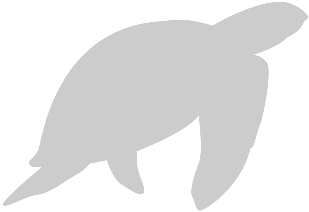 Turtle vector