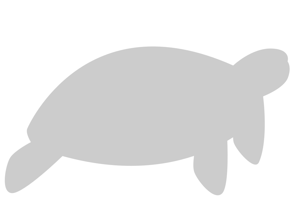 Turtle vector