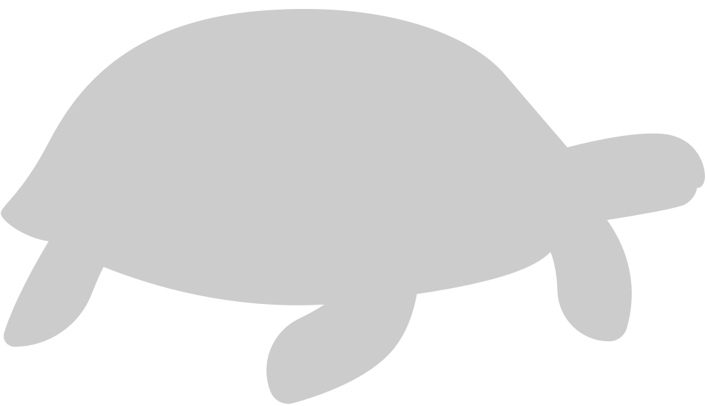 Turtle vector
