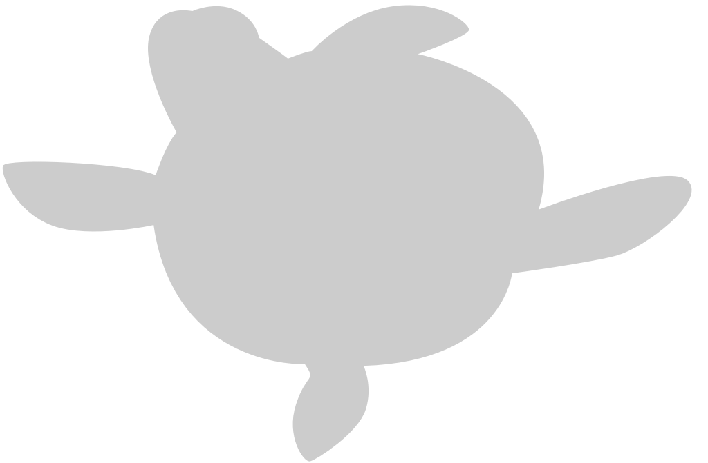 Tortuga vector