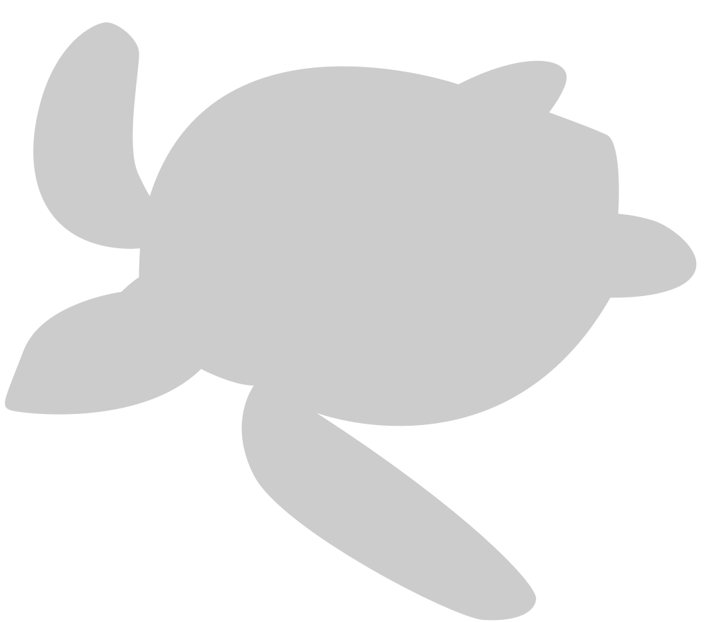 Tortuga vector