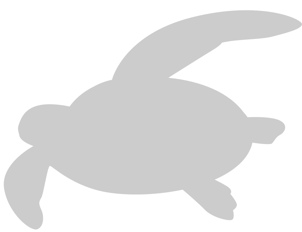Turtle vector